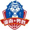 长沙湾田勇胜logo